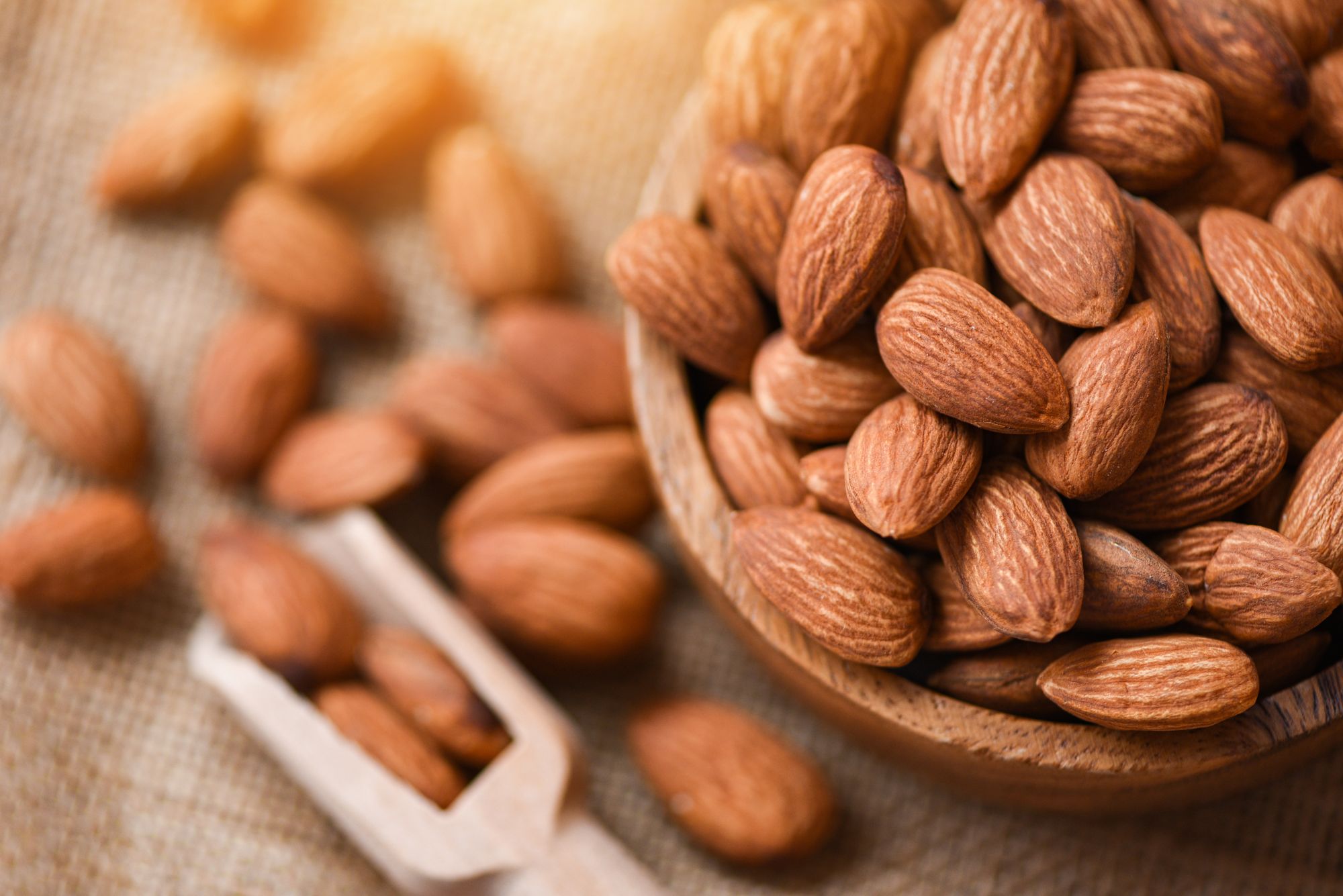 Almonds encouraged saliva production in our mouths